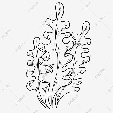 Drawing Of Seaweed, Kelp Drawing Easy, Sea Kelp Drawing, Seaweed Drawing Easy, Sea Plants Drawing, Coral Drawing Simple, Kelp Drawing, Algae Drawing, Undersea Drawing