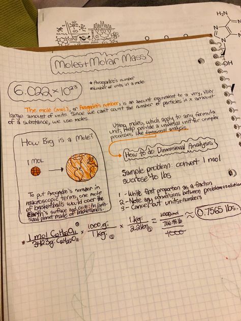 Chemistry Mole Concept, Notes Aesthetic Chemistry, Mole Chemistry, School Notes Aesthetic, Aesthetic Chemistry, Chemistry Mole, Notes Chemistry, Mole Concept, Mole Day