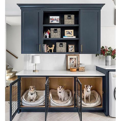 Dog Room Decor, Dog Bedroom, Dog Spaces, Smart Tiles, Dog Crate Furniture, Basket And Crate, Dog Rooms, Animal Room, Laundry Room Storage