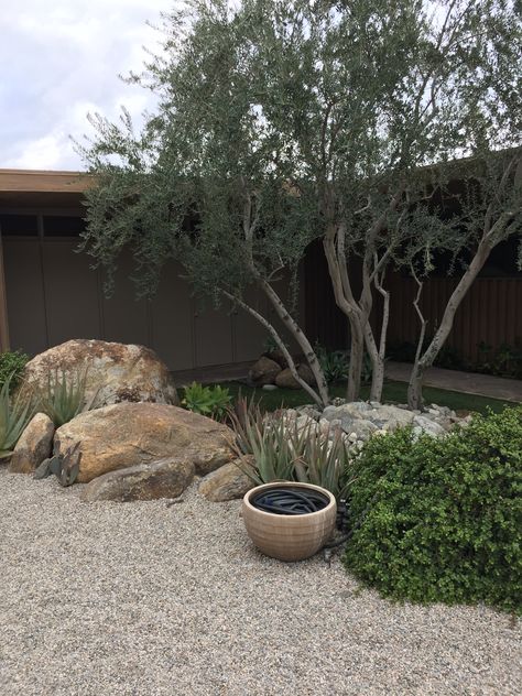 Desert Ranch, Residential Garden, Texas Landscaping, Australian Garden Design, Australian Native Garden, Desert Bloom, Backyard Chicken Farming, View Landscape, Dry Garden