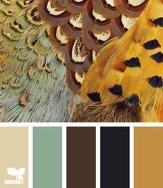 Pub Ideas, Painting Corner, Palette Design, Colour Trends, Color Palate, Design Seeds, Colour Palettes, Color Stories, Color Textures