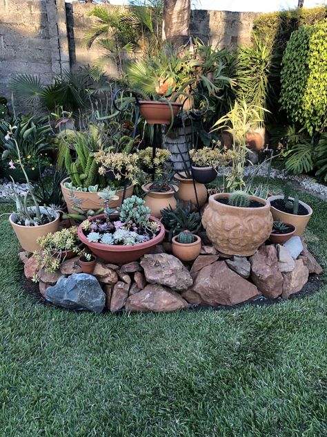 Planter Alternatives, Planter Rock Garden, Rockeries Garden Ideas, Garden Rockery Ideas, Desert Rose Garden Ideas, Stone And Succulent Garden, Small Garden Rockery, Cactus Zen Garden, Succulent Rockery Garden