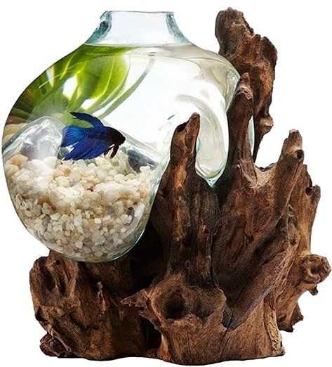 OMA Hand Blown Molten Glass & Teak Wood Terrarium/Vase/Fish Bowl - Premium Quality (12" - 14" High)