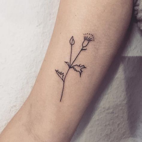 Black And White Thistle Tattoo, Minimalist Thistle Tattoo, Scotland Tattoo Ideas, Thistle Tattoo Black, Thistle Tattoos, Heritage Tattoo, Wild Thistle, Edinburgh Tattoo, Scotland Tattoo