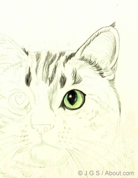 How to Draw a Cat in Colored Pencil: Beginning With the Eyes Creatures Drawing, Drawing 101, Draw Cats, Draw A Cat, Realistic Eye Drawing, Cat Drawing Tutorial, Sketching Tips, Pencil Drawing Tutorials, Drawing Animals