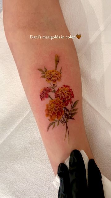 Dani on Instagram: "marigolds   #nyctattoo" Marigold Tattoo Men, Marigold Tattoo Color, Marigold And Daffodil Tattoo, Marigold Tattoo Black And White, Marigold Bouquet Tattoo, Small Marigold Tattoo, Marigold Tattoo October, Marigold Meaning, Marigolds Tattoo