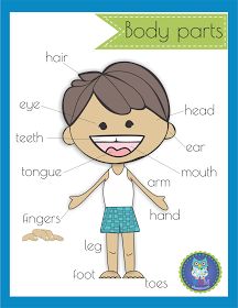 Body Parts Poster Classroom Freebie Body Parts Theme, Body Parts For Kids, Preschool Charts, Body Preschool, Body Parts Preschool, Body Chart, All About Me Preschool, Classroom Freebies, Human Body Parts