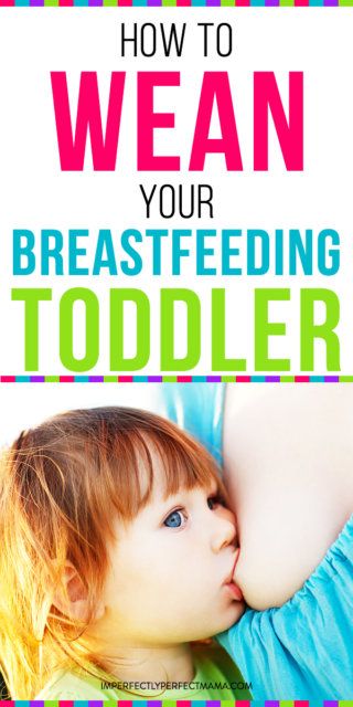 How do you wean a toddler from breastfeeding. Wean a breastfeeding toddler tips and advice for parents and moms. Learn how to gently wean your toddler from breastfeeding. #breastfeeding Weaning Breastfeeding, Weaning Toddler, Stopping Breastfeeding, Toddler Biting, Pumping Moms, Baby Weaning, Breastfed Baby, Baby Sleep Problems, Mom Guilt