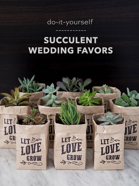 OMG, These DIY "Let Love Grow" Succulent Wedding Favors Are The Cutest! Succulent Bouquet Wedding, Succulent Wedding Favors, Let Love Grow, Creative Wedding Favors, Inexpensive Wedding Favors, Candy Wedding Favors, Edible Wedding Favors, Elegant Wedding Favors, Succulent Bouquet