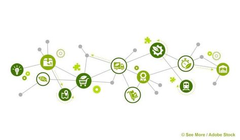 Green Procurement: The Path to a Sustainable Supply Chain Supply Chain Logistics, Waste Reduction, Sustainable Supply Chain, Global Supply Chain, Health Tech, Supply Chain Management, Supply Chain, Environmentally Friendly, Diner