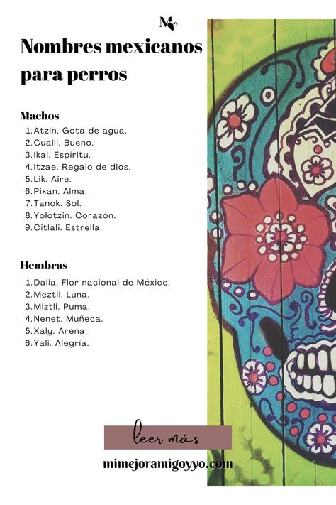 nombres mexicanos para perros Creative Bookmarks, Dog Photoshoot, Bullet Journal School, Kittens And Puppies, Diy Dog Stuff, Diy Creative, Doberman, Dog Names, Pet Names