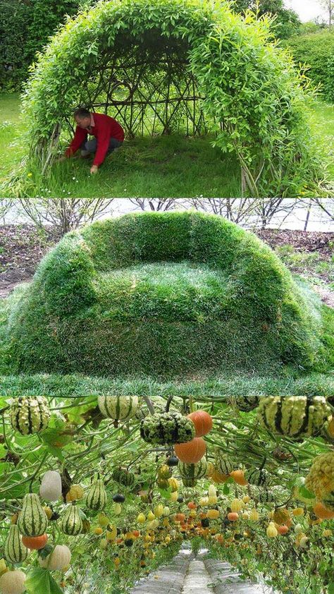 DIY living functional garden decorations & outdoor structures: magical grass sofa, fun bean teepee, beautiful grape & rose arches, willow dome & fence, etc! 12 Totally Amazing Living Structures You Can Make! - A Piece Of Rainbow, gardening tips, homestead, garden design, backyard ideas, trellis, pergola Willow Dome, Bean Teepee, Garden Tunnel, Backyard Planning, Trellis Pergola, Living Structures, Functional Garden, Decoration Plants, Backyard Gardens