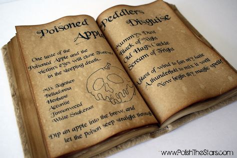 Snow White Evil Queen Spell Book Idea. Snow White Aesthetic, Halloween Spells, Old Hag, Descendants Dr, Poison Apples, Queen Aesthetic, Raven Queen, Apple White, Magic Mirror