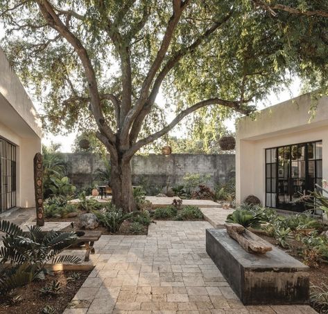 Private Courtyard Off Bedroom, Grass Courtyard, Courtyard Tree, Acerage Homes, Cowgirl Era, Patio Courtyard, Spain House, Courtyard Landscaping, Front Courtyard