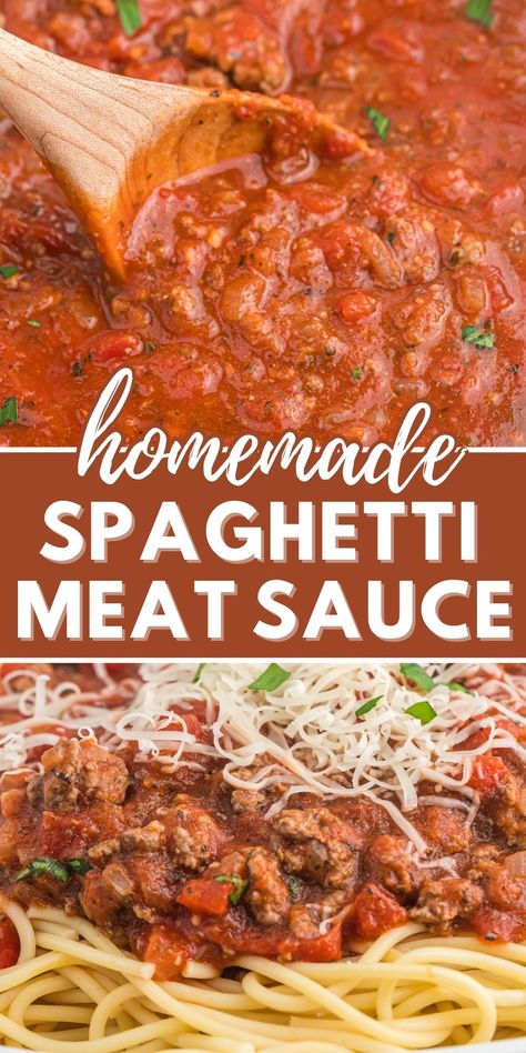 Homemade Spaghetti Meat Sauce, Homemade Spaghetti Sauce Easy, Spaghetti With Meat Sauce, Cheese Sauces, Spaghetti With Meat, Homemade Spaghetti Sauce Recipe, Canned Spaghetti Sauce, Spaghetti Recipes Easy, Spaghetti Meat Sauce