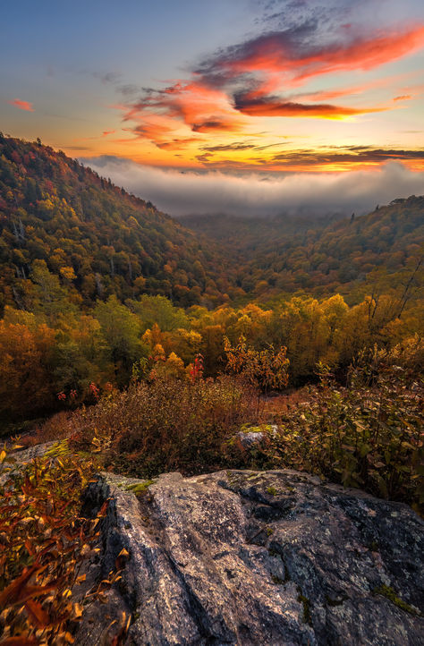 Fall Foliage | Fall Aesthetic | Fall Vacation | Fall in Asheville | Blue Ridge Mountains | Fall Hiking | Fall Moodboard  📸: Ezekiel Coppersmith Asheville Hikes, Ashville North Carolina, North Carolina Hiking, Hiking Fall, Fall Moodboard, Mountain Aesthetic, Fall Vacation, Thanksgiving Travel, Fall Vacations