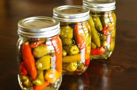 Canning Hot Peppers, Canning Peppers, Chili Pepper Sauce, Homemade Cleaners Recipes, Pepper Sauce Recipe, Canning Vegetables, Hot Sauce Recipes, Hot Pepper Sauce, Homemade Chili