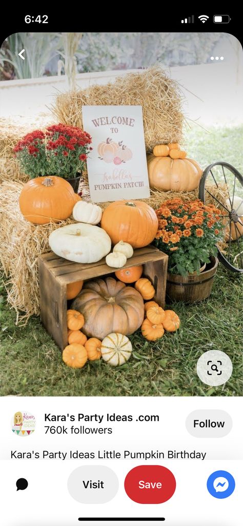 Birthday Pumpkin Patch, Birthday Table Decor, Pumpkin Patch Birthday, Birthday Pumpkin, Pumpkin Patch Party, Pumpkin Birthday Parties, 2nd Birthday Party For Boys, Pumpkin Birthday, Pumpkin Farm