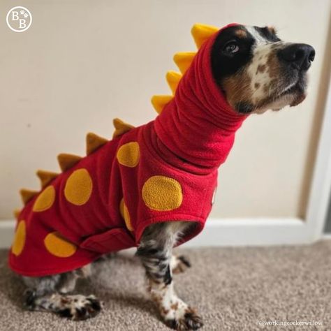 We are loving these Dino Snoods on Willow and Toby, don’t they look good with their coats❤️💛💜💙 We still plan on making a batch of ready made snoods once we have worked out a range of popular sizes but for now you can order with your own measurements 🦖 🦖 #dinosnood #dinodogsnood #dogsnood #barkerandbrowns #barkerandbrownsbespoke Dog Snood, We Are Love, Dog Coats, Ready Made, Range, Dogs