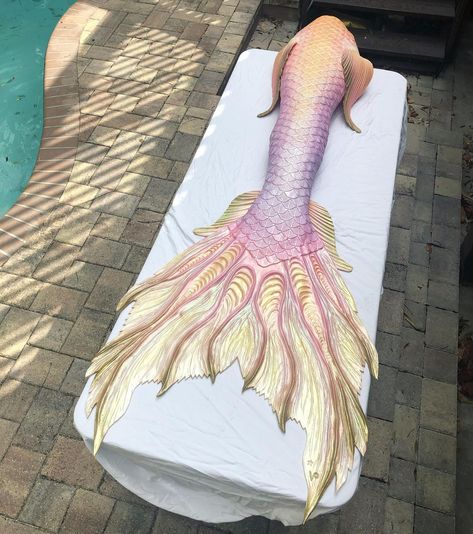 Iridescent Mermaid Tail, Pink Mermaid Tail Aesthetic, Yellow Mermaid Tail, Mermaid Tail Aesthetic, Siren Tail, Pink Mermaid Tail, Iridescent Fairy, Realistic Mermaid Tails, Professional Mermaid