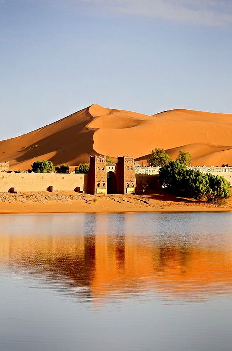 Erg Chebbi Morocco, Desert Kingdom, Arab Desert, Aesthetic Desert, Morocco Africa, Desert Morocco, Morocco Desert, Visit Morocco, Jaisalmer