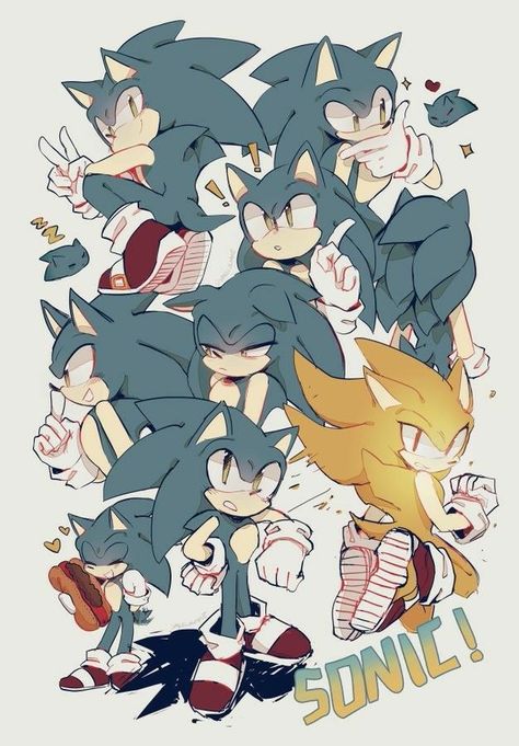 Sonic X Shadow, Sonic Fanart, Silver The Hedgehog, Sonic Shadow, Sonic And Amy, Sonic Fan Characters, Sonic Franchise, Blue Hedgehog, Hedgehog Art