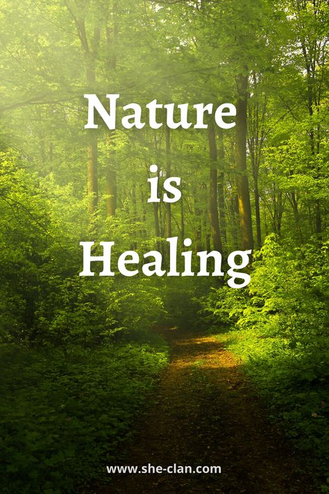 Nature Is, Tree Quotes Nature, Being In Nature, Tree Quotes Inspirational, Nature Quotes Trees, Nature Quotes Inspirational, Tree Story, Tree Quotes, Unitarian Universalist