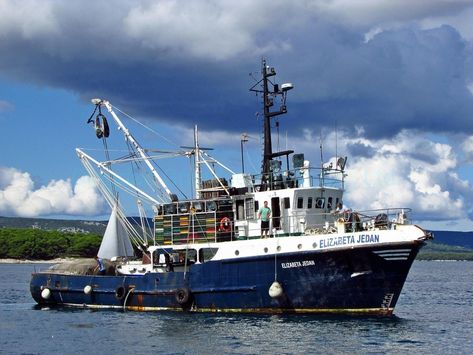 deep sea fishingfishing boat deep sea tuna fishing sea fishing on youtube deep sea fishing boat for sale man fishing sea fishing show fishing on a boat near mecommercial deep sea fishing boats for sale used fishing boat for sale best saltwater fishing boats used fishing boats for sale by owners saltwater fishing boats with cabin#fishingdaily #fishingislife #fishingtime #fishingboat #fishingfun #fishinggirl #fishingpicoftheday #fishingaddict #fishingspot #fish #fisherman Deep Sea Fishing Boats, Fishing Boats For Sale, Man Fishing, Tuna Fishing, Sea Boat, Boat For Sale, Deep Sea Fishing, Fish Man, Fishing Girls