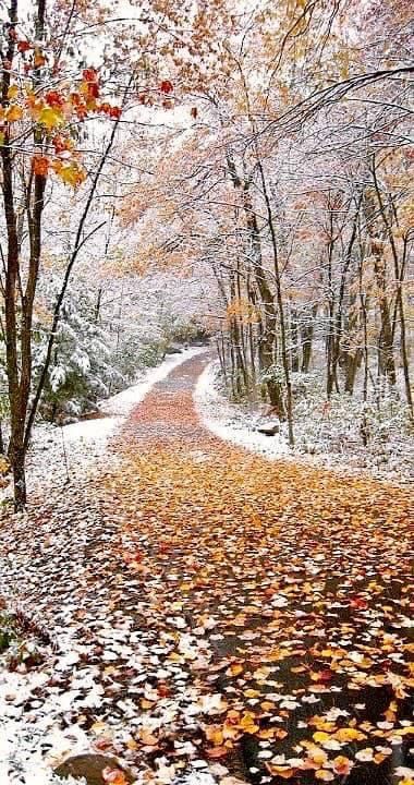 Uplifting Sayings, Quotes Uplifting, First Snowfall, Happy Weekend Quotes, Weekend Quotes, Winter Walk, Autumn Scenery, Winter Scenery, Winter Beauty