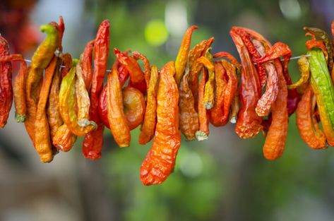 How To Dry Peppers - Bob Vila Anaheim Chili Recipes, Healthy Liver Diet, Tabasco Pepper, Types Of Peppers, Dried Chili Peppers, Liver Diet, Dried Peppers, Fruit Preserves, Healthy Liver