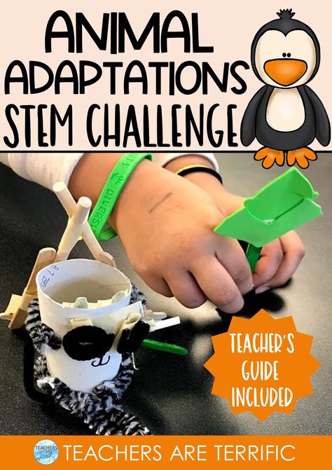 Here’s a perfect STEM challenge to use at the end of your study of Animal Adaptations. Students will build a three-dimensional model of an animal of their choice and showcase its adaptation. This is a great learning experience for everyone. Pirate Vocabulary, Classroom Decor Ideas, Stem Classes, Stem Ideas, Nonfiction Text Features, Engineering Activities, Animal Adaptations, Engineering Design Process, Challenges Activities