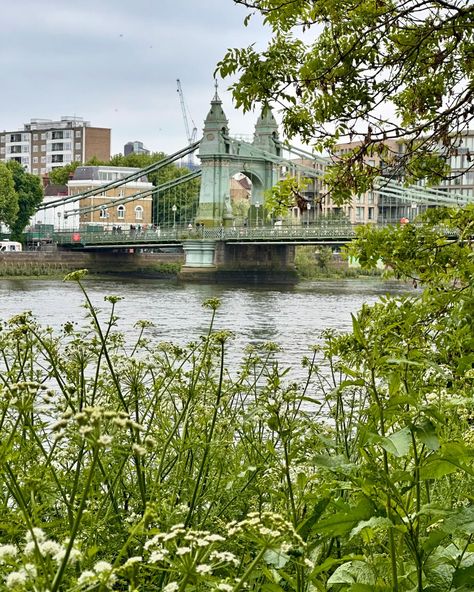 More discoveries walking along the Thames in Barnes. A view of the well known Chiswick pubs, the Hammersmith bridge that’s eternally closed to car traffic and the lovely swans. #barnes #riverthameslondon #londonwalks #london🇬🇧 #hammersmithbridge #swansofinstagram Hammersmith Bridge, Hammersmith London, Car Traffic, Chiswick London, Thames Path, Digital Reading Journal, Life In London, Digital Reading, Places To Live