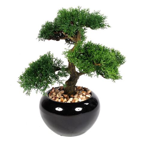 Large bonsai tree