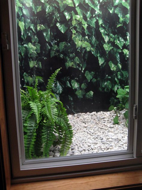 Basement Window Well Greenhouse, Basement Window Well Plants, Egress Window Well Decorating Ideas, Egress Window Garden, Window Well Ideas Basement, Window Well Plants, Window Well Ideas Plants, Window Well Decorating Ideas Plants, Egress Window Ideas Basement