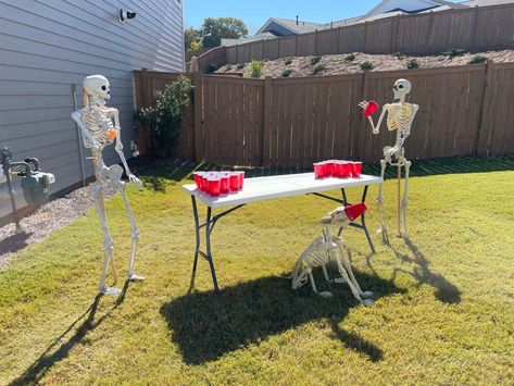 Skeleton Setup Ideas, Skeleton Ideas, Skeleton Family, Halloween Skeleton Decorations, Skeleton Decorations, Setup Ideas, Beer Pong, Halloween Skeleton, Halloween Skeletons