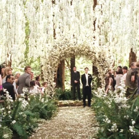 Its going to be so crazy to see db at the end of the aisle :) :) Twilight!!!!!!!!!! :) Bella And Edward Wedding, Breaking Dawn Wedding, Dawn Wedding, Twilight Wedding, Forest Theme Wedding, Bella Wedding, Twilight Breaking Dawn, Fashion Bride, Enchanted Forest Wedding