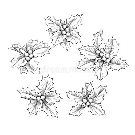 Holly Branch Drawing, Holly Plant Tattoo, Holly Flower Drawing, Holly Berry Drawing, Holly Tattoo Flowers, Holly Berry Tattoo, Holly Drawing, Holly Tattoo, Hur Man Ritar Blommor