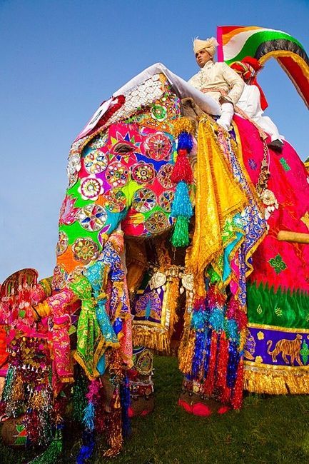 ELEFANTES ADORNADOS - Colorful India Elephant Festival, Festivals Around The World, India Colors, Elephant Painting, We Are The World, Ansel Adams, Indian Summer, Rajasthan India, Jaipur Rajasthan