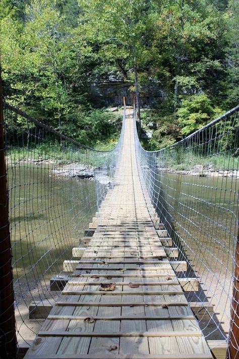 Located in Ritner, Kentucky, just on the outskirts of Daniel Boone National Forest, the newly restored Swinging Bridge is a unique adventure in this already adventurous area of our state. Kentucky Camping, Kentucky Vacation, Daniel Boone National Forest, Kentucky Travel, Swinging Bridge, West Coast Trail, Daniel Boone, Utah Hikes, Colorado Hiking