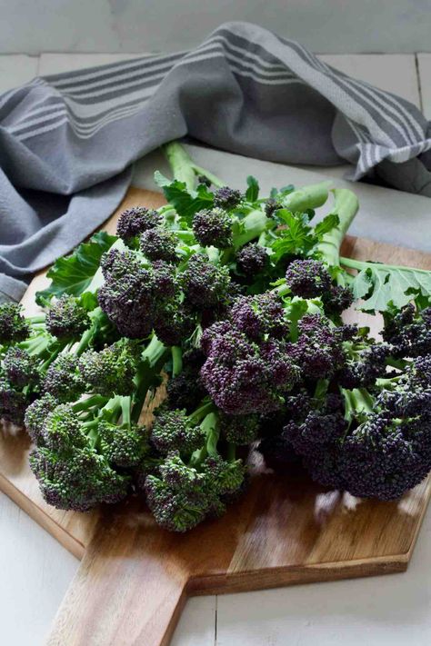 How to Cook Purple Sprouting Broccoli - Jo's Kitchen Larder Purple Sprouting Broccoli Recipes, Purple Sprouting Broccoli, Purple Broccoli Recipe, Purple Broccoli, Broccolini Recipe, Sprouting Broccoli, Purple Vegetables, Tenderstem Broccoli, Kitchen Larder