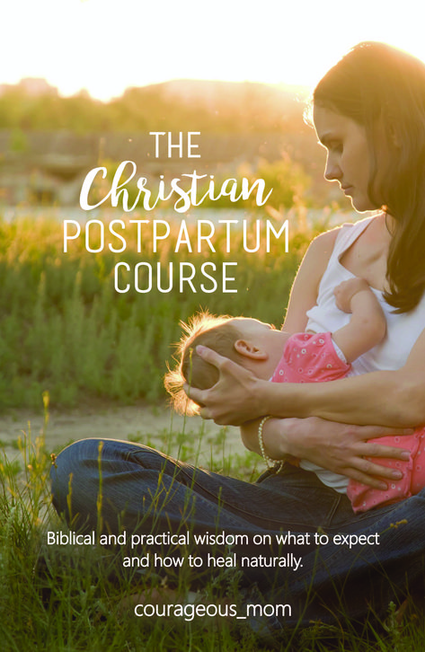 Christian Birth Doula, Mom Empowerment, Biblical Motherhood, Birth Prep, Third Pregnancy, Mom Prayers, Postpartum Doula, Biblical Encouragement, Birth Doula