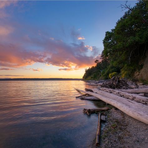 Cozy Camano Island makes for the perfect Pacific Northwest day trip, with outdoor activities, art, and good eats. Eagle Beach Aruba, Scenic Wall Art, Oceanfront Vacation Rentals, Camano Island, Beach Canvas Art, Boca Raton Florida, Ocean Canvas, Beach Posters, Beach Canvas