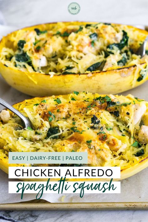 Alfredo Stuffed Spaghetti Squash, Quick Paleo Dinner, Spaghetti Squash Recipes Chicken, Quick Paleo, Spaghetti Squash Recipes Easy, Stuffed Spaghetti Squash, Lunch Meals, Pasta Recipes Alfredo, Chicken Alfredo Pasta