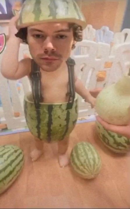 credits: frogbussycrumpets Watermelon Baby, 1 Am, Very Funny Pictures, Harry Edward Styles, Edward Styles, Liam Payne, Too Much, Harry Styles, Check It Out