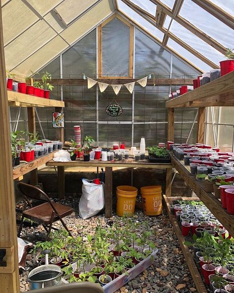 DIY greenhouse  - Roots & Refuge Farm Homestead Living, Edible Landscaping, Diy Greenhouse, Veggie Garden, Family Farm, Photo Contest, Farm Life, Landscaping, Seeds