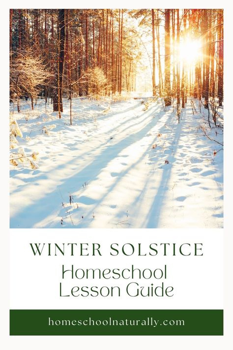 Winter Solstice Homeschool Lesson — Homeschool Naturally Winter Solstice Toddler Activities, Winter Solstice Homeschool, Winter Homeschool Ideas, Winter Solstice Kids Activities, Winter Solstice Activities For Kids, Winter Unit Study, Waldorf Lessons, Winter Homeschool, Diy Homeschool