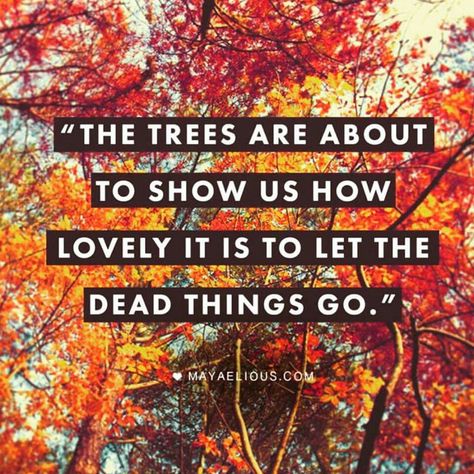 It's almost autumn! Citation Nature, Short Friendship Quotes, Fall Quotes, 10th Quotes, Autumn Quotes, Life Quotes Love, I Love Fall, Love Fall, Nature Quotes