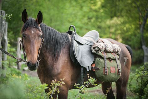 Horse saddlebags #066. Leather and canvas on Behance Notless Orequal, Dnd Worldbuilding, Horse Packing, Saddle Bags Horse, Mounted Archery, Horse Adventure, Medieval Horse, Horse Camp, Cowboy Gear