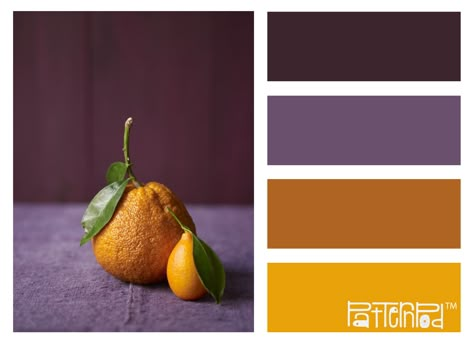 #patternpod #color #hues #colorpalette #orange #aubergine #purple Aubergine Colour Scheme, Eggplant And Mustard Color Scheme, Purple Mustard Color Palette, Orange Purple Brown Color Palette, Yellow And Purple Kitchen, Purple And Mustard Bedroom, Aubergine Colour Palette, Mustard Colour Combinations, Aubergine Interior