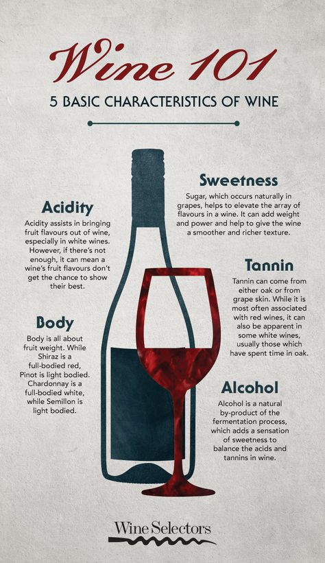 Wine Types Cheat Sheets, Beginner Wine Guide, Wine Explained, Wine Terms, Wine Descriptions, Wine Benefits, Wine Tasting Guide, Wine Etiquette, Wine Basics